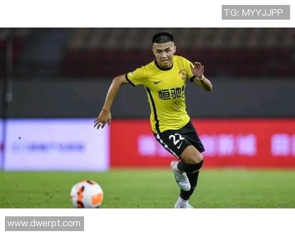 广州队旧将团体“跨界”！艾菲尔丁担任新疆业余队教练，李嘉灏执教赣州瑞狮中乙保级